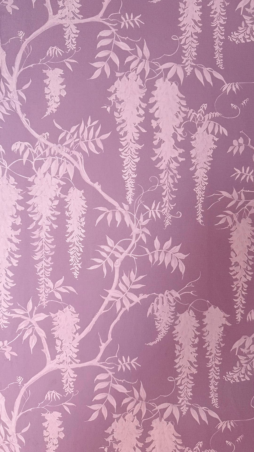 wisteria wall